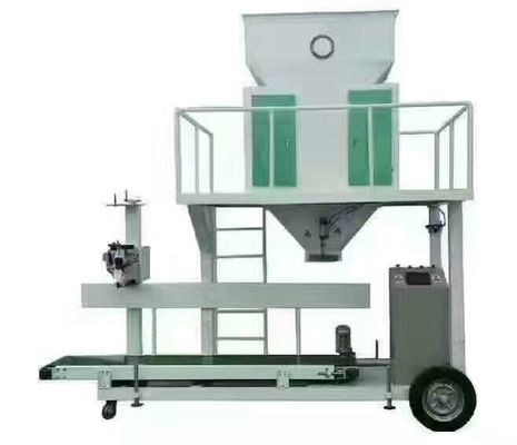 qualità  Advanced Food China Bucket Double Particle Packaging Machine Has High Cost Performance fabbrica
